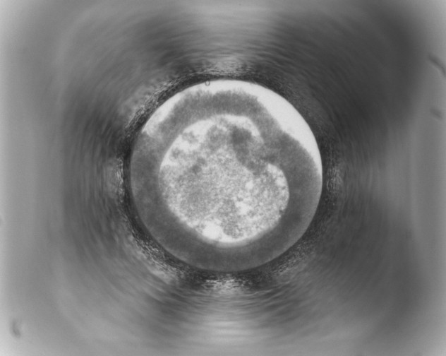 X0000103950688200810031346