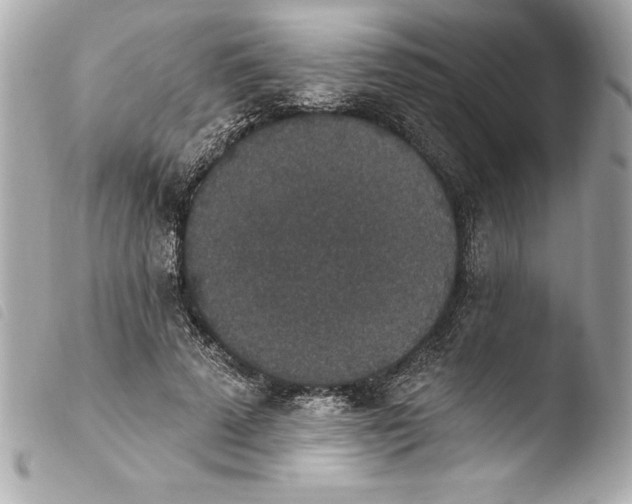 X0000103950689200810031346