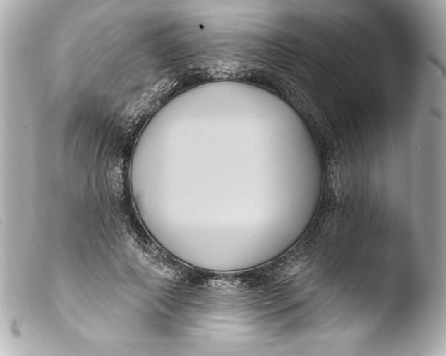 X0000103950690200810031346