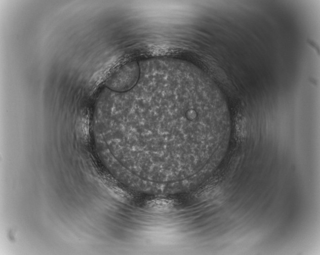 X0000103950691200810031346