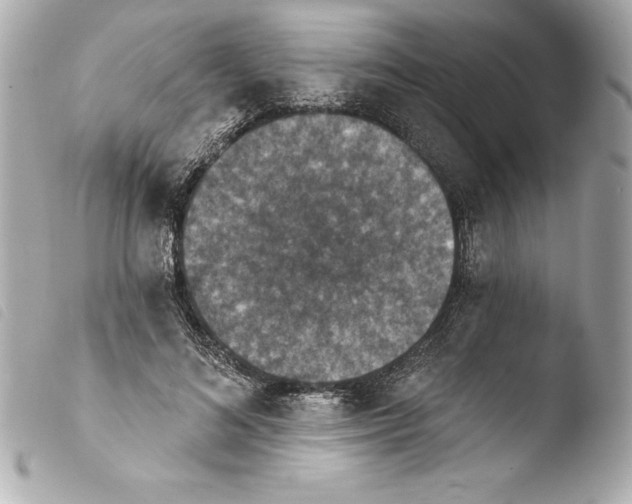 X0000103950692200810031346