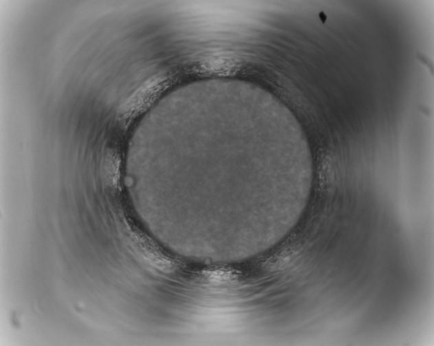 X0000103950693200810031346