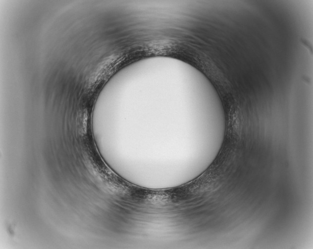 X0000103950694200810031346