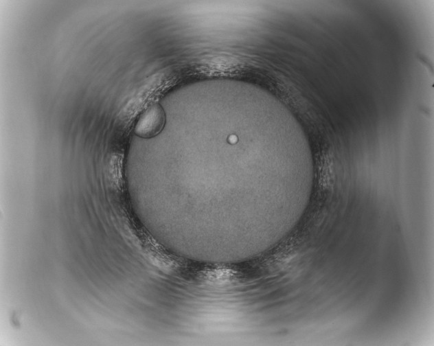 X0000103950695200810031346