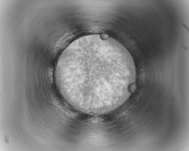 X0000103950696200810031346