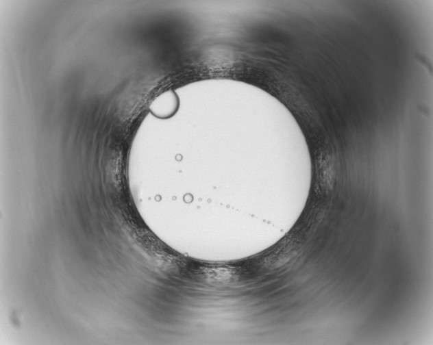 X0000103950698200810031346