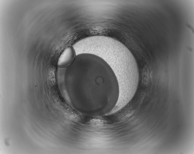 X0000103950699200810031346