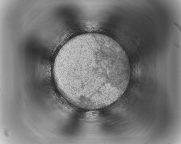 X0000103950700200810031346