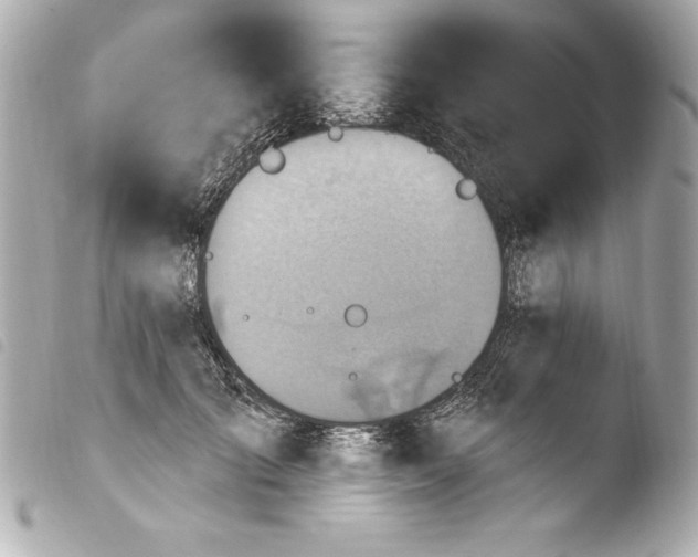 X0000103950701200810031346