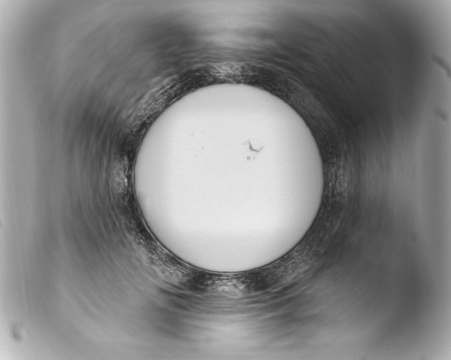 X0000103950702200810031346