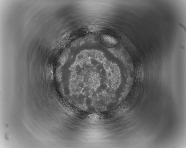 X0000103950703200810031345