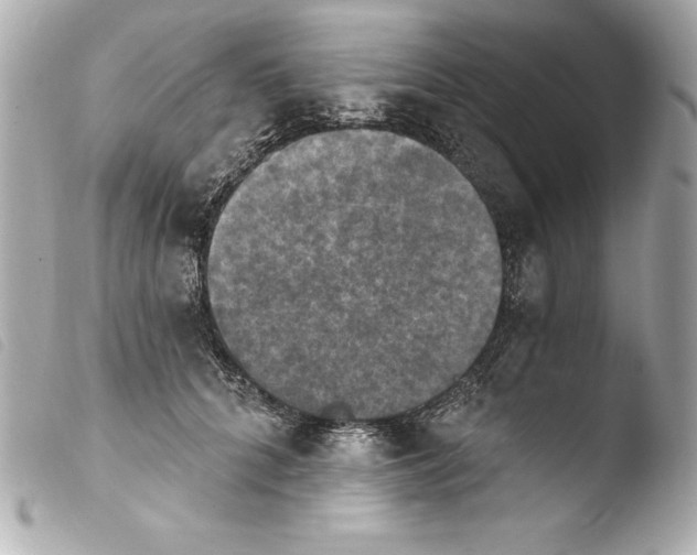 X0000103950704200810031345