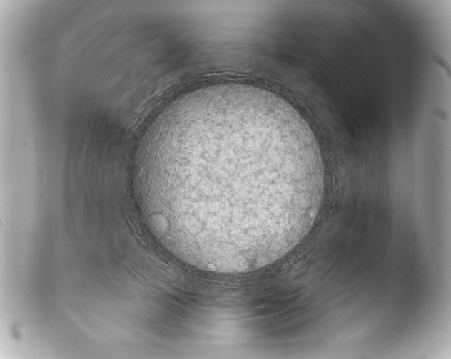 X0000103950705200810031345