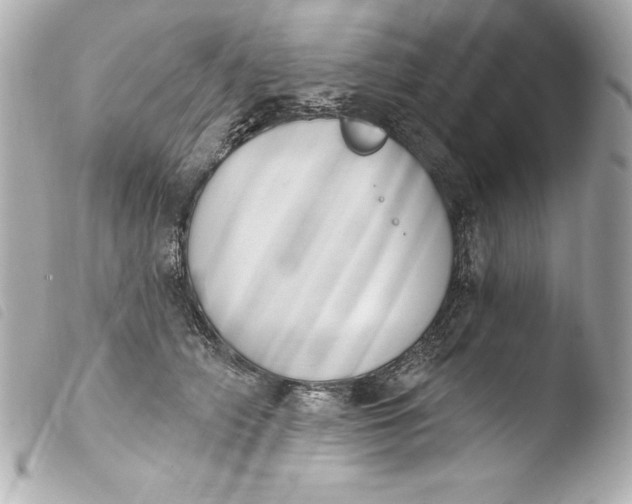 X0000103950706200810031345