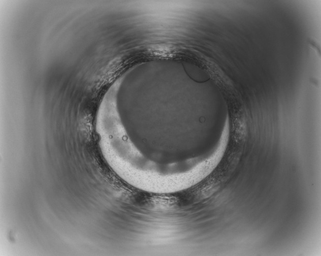 X0000103950707200810031345