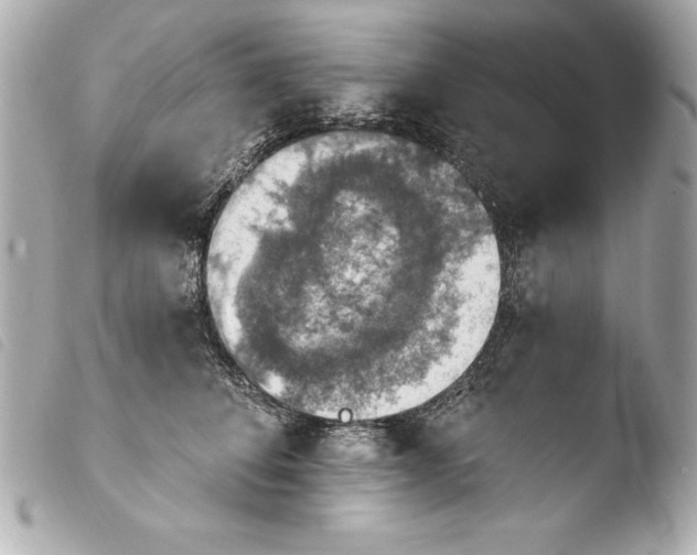 X0000103950708200810031345