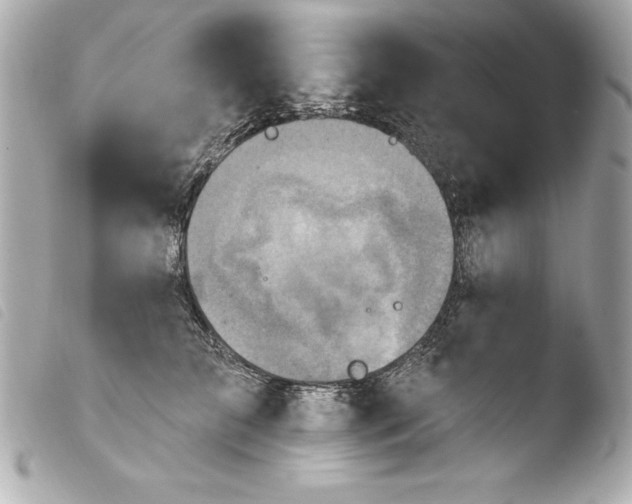 X0000103950709200810031345