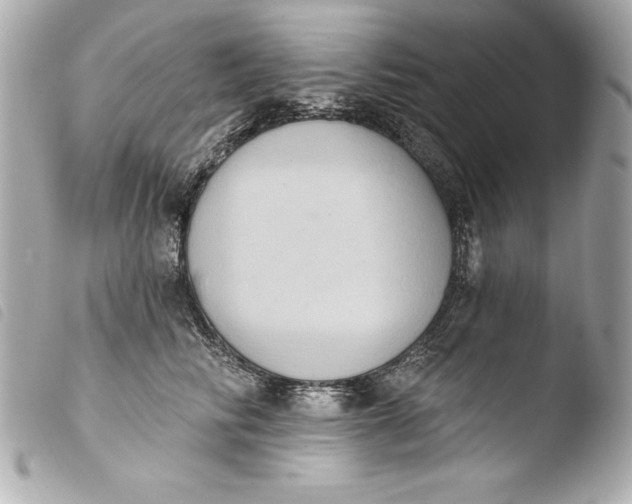 X0000103950710200810031345