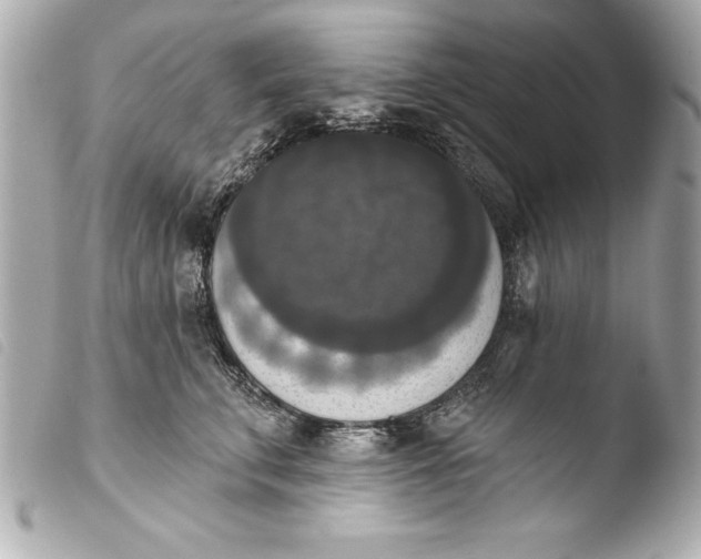 X0000103950711200810031345