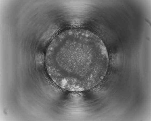 X0000103950712200810031345