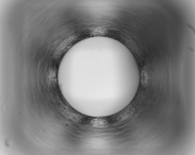 X0000103950714200810031345