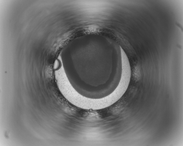 X0000103950715200810031345