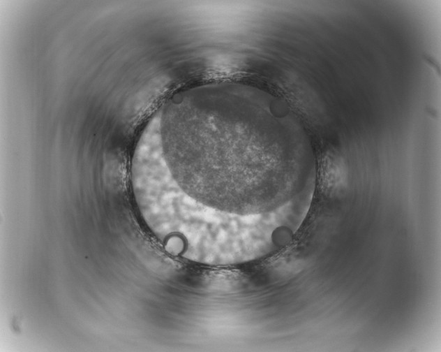 X0000103950716200810031345