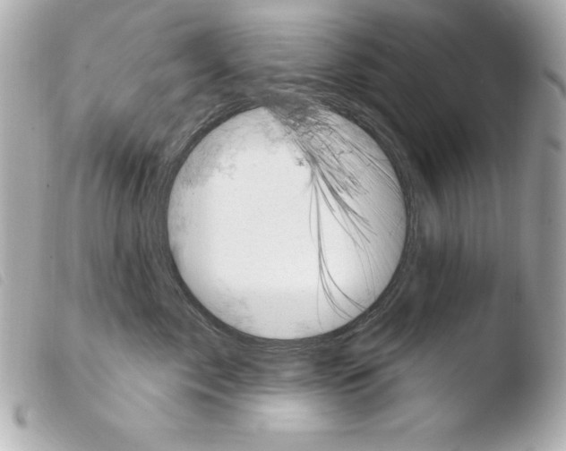 X0000103950717200810031345