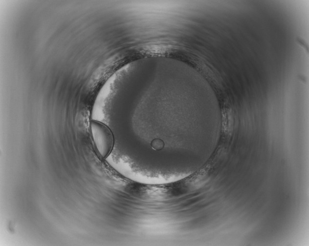 X0000103950718200810031345