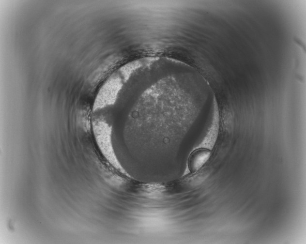 X0000103950719200810031345