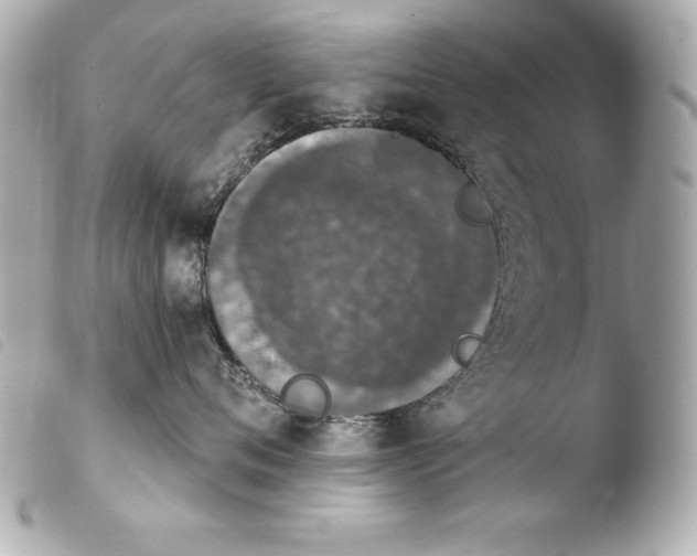 X0000103950720200810031345