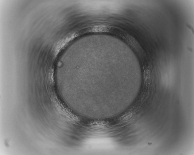 X0000103950727200810031345