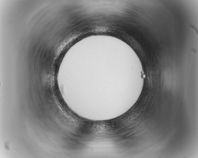 X0000103950728200810031345