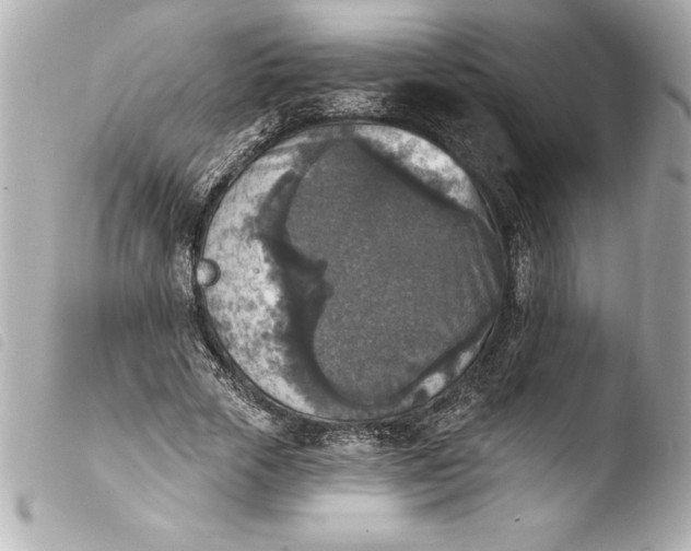 X0000103950729200810031345