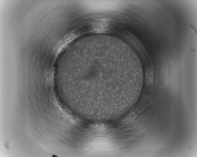 X0000103950730200810031345