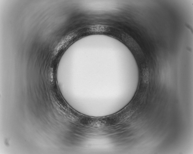 X0000103950731200810031345