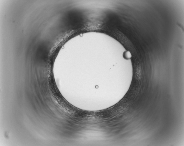 X0000103950732200810031345