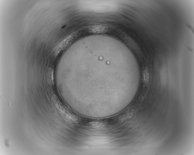 X0000103950733200810031345