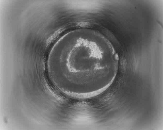 X0000103950734200810031345