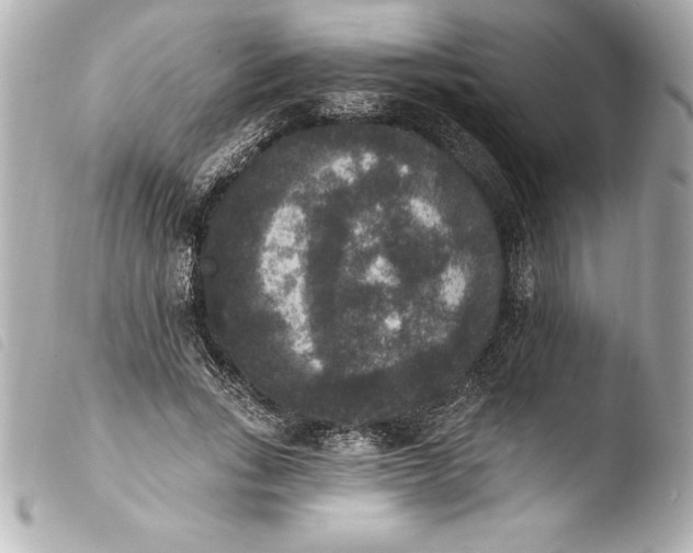 X0000103950735200810031345