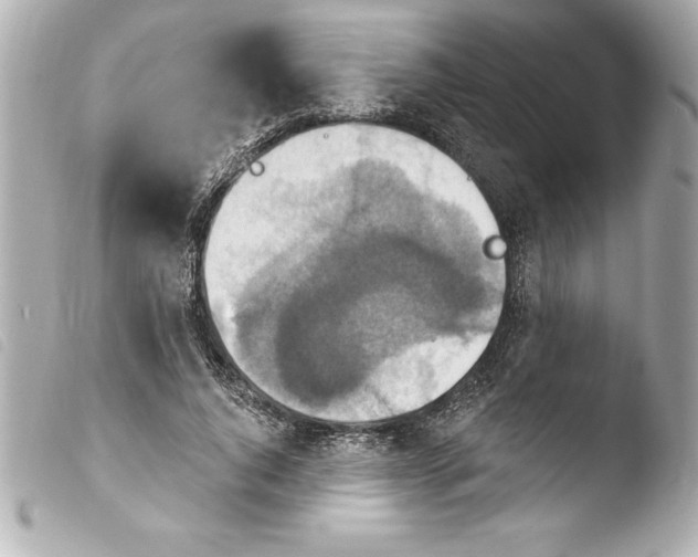 X0000103950736200810031345