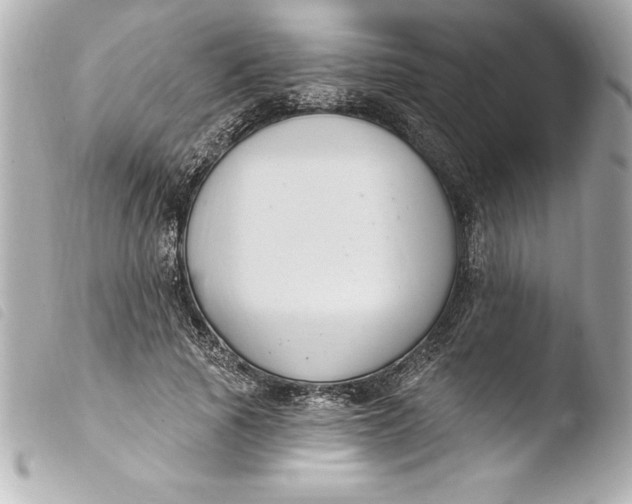 X0000103950737200810031345