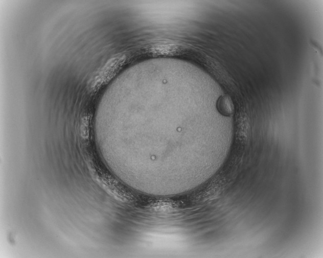 X0000103950738200810031345