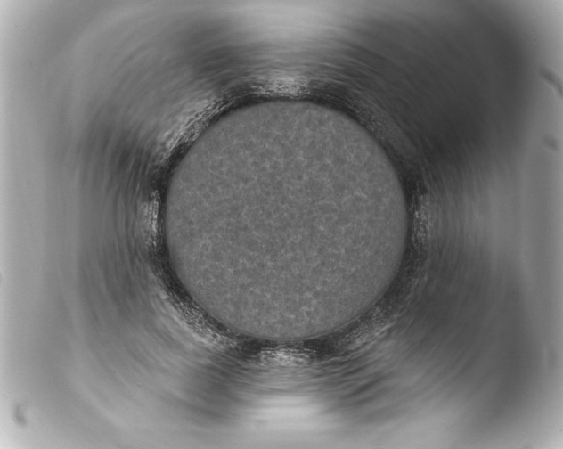 X0000103950739200810031345