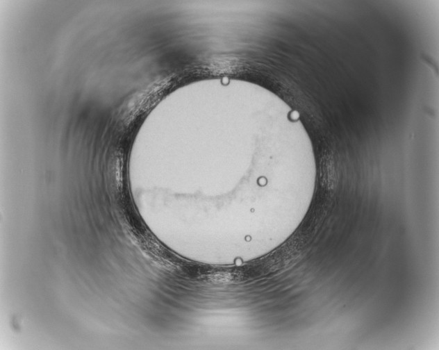 X0000103950740200810031345