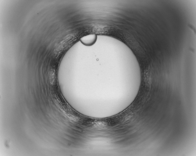 X0000103950741200810031345