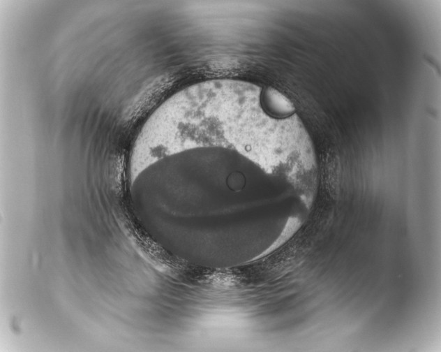 X0000103950742200810031345