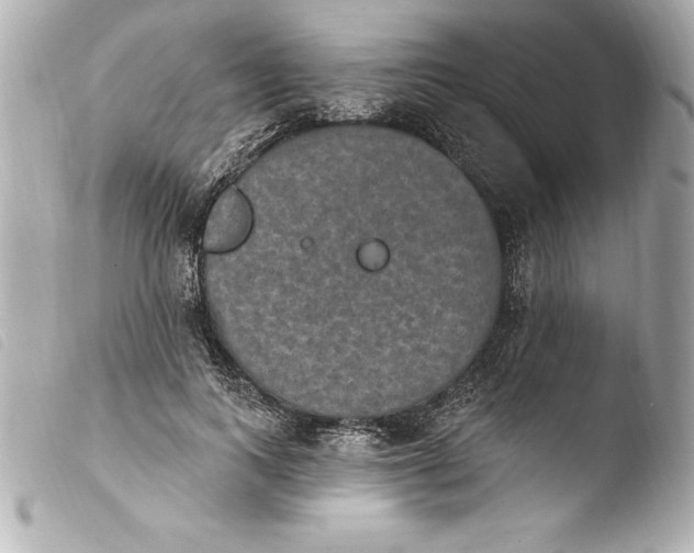 X0000103950743200810031345