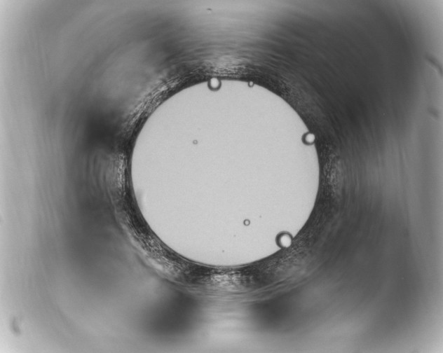 X0000103950744200810031345