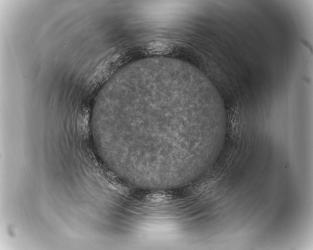 X0000103950745200810031345